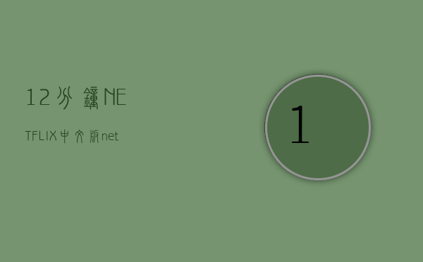 12分钟NETFLIX中文版(netflix分享网).